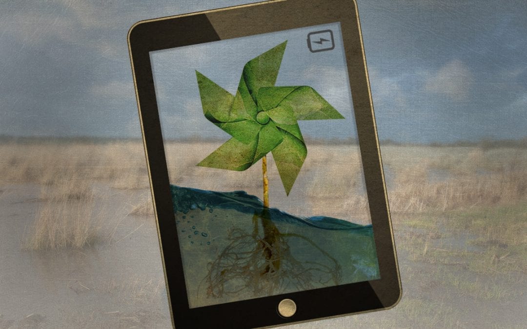 Zo haal je energie uit een plant