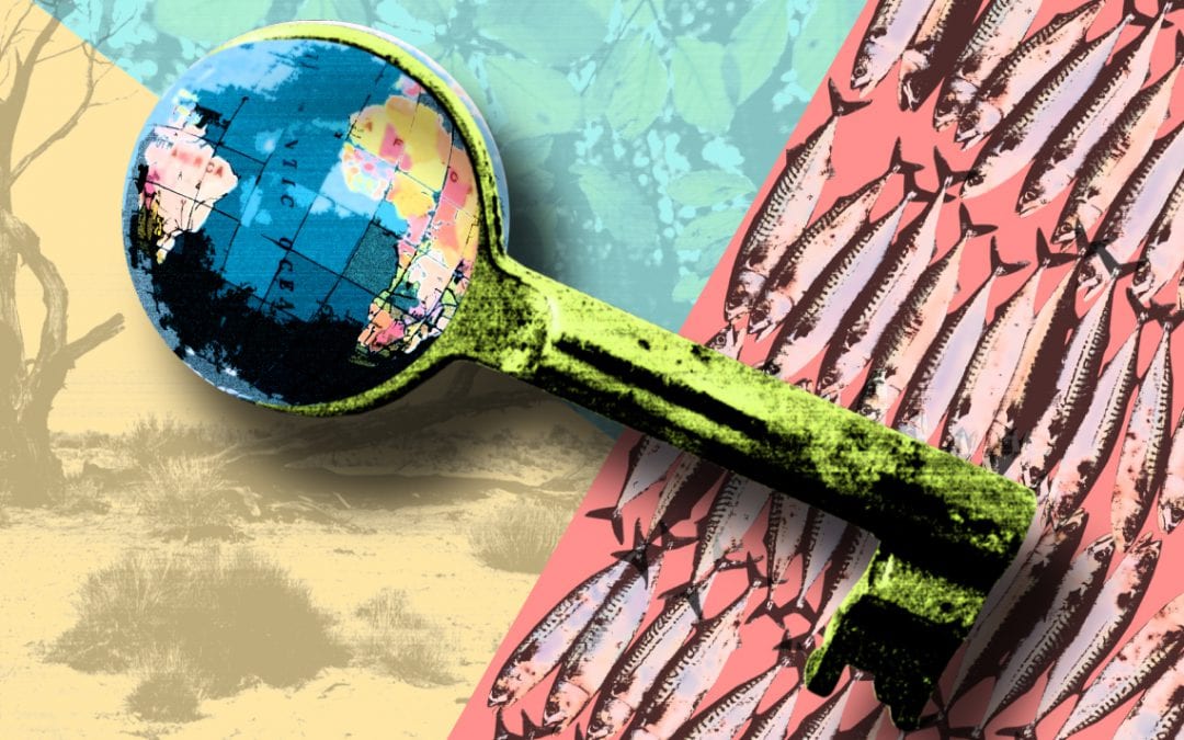 Globalisering als sleutel tot een beter milieu?