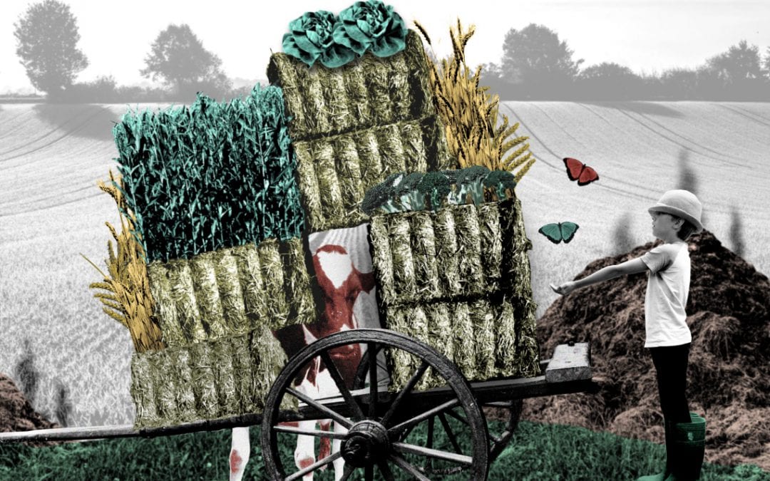 Landbouwafval recyclen? Volgens Wageningen kan het